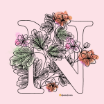 n name dp