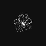 Stylish Black DP for WhatsApp