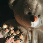 teddy bear dp