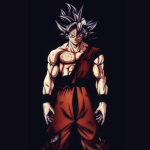 goku dp