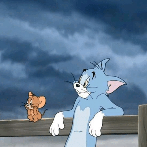cute tom and jerry dp