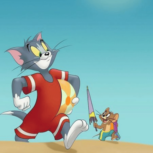 tom and jerry dp