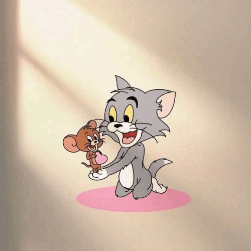 cute tom and jerry dp