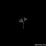 black background
