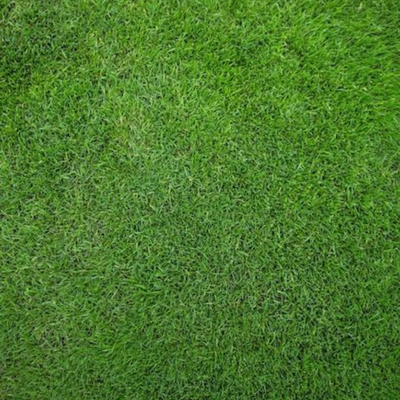 green background grass