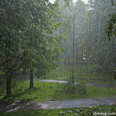 rain image