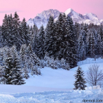 winter background